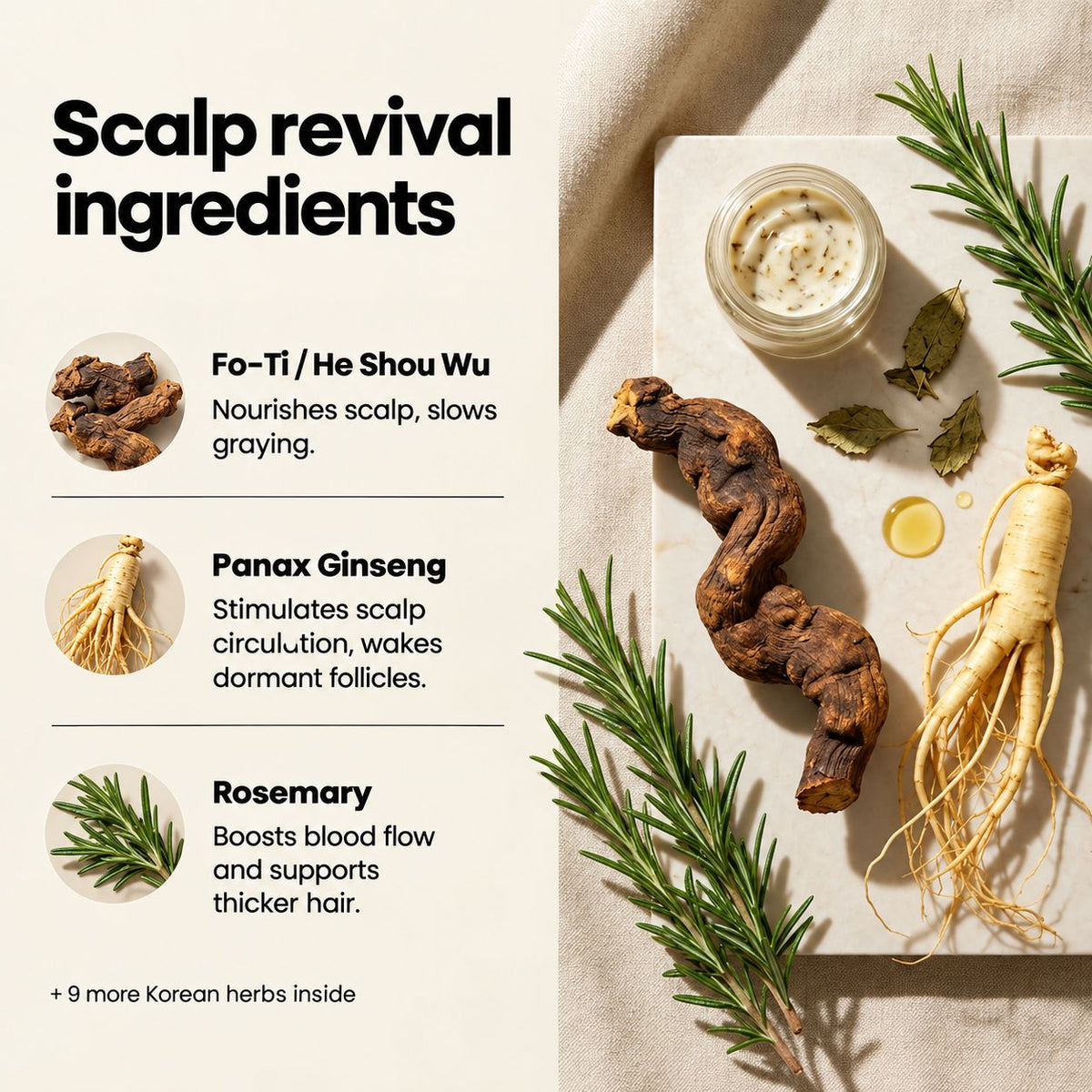 Korean Scalp Revival Bar